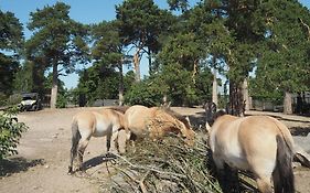 Omena Hotel Helsinki Loennrotinkatu